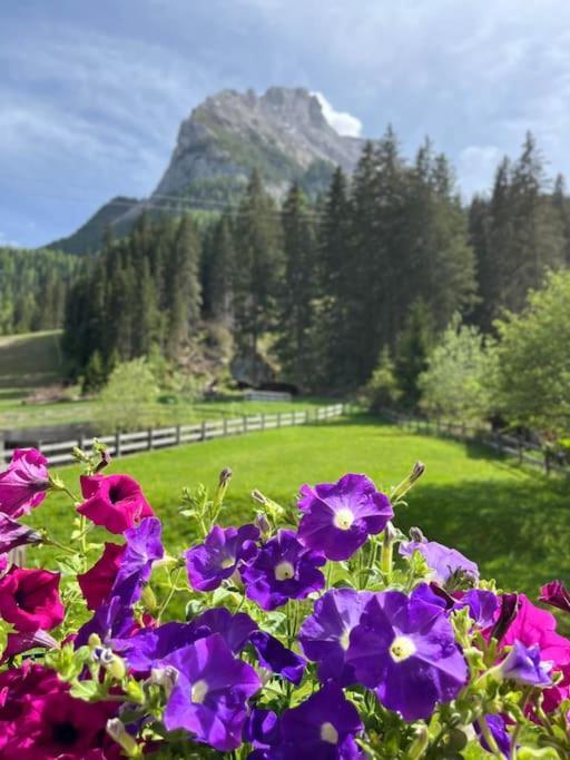 Appartement Sellaronda - Ciampac Experience *