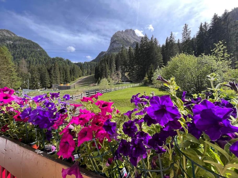 Sellaronda - Ciampac Experience *