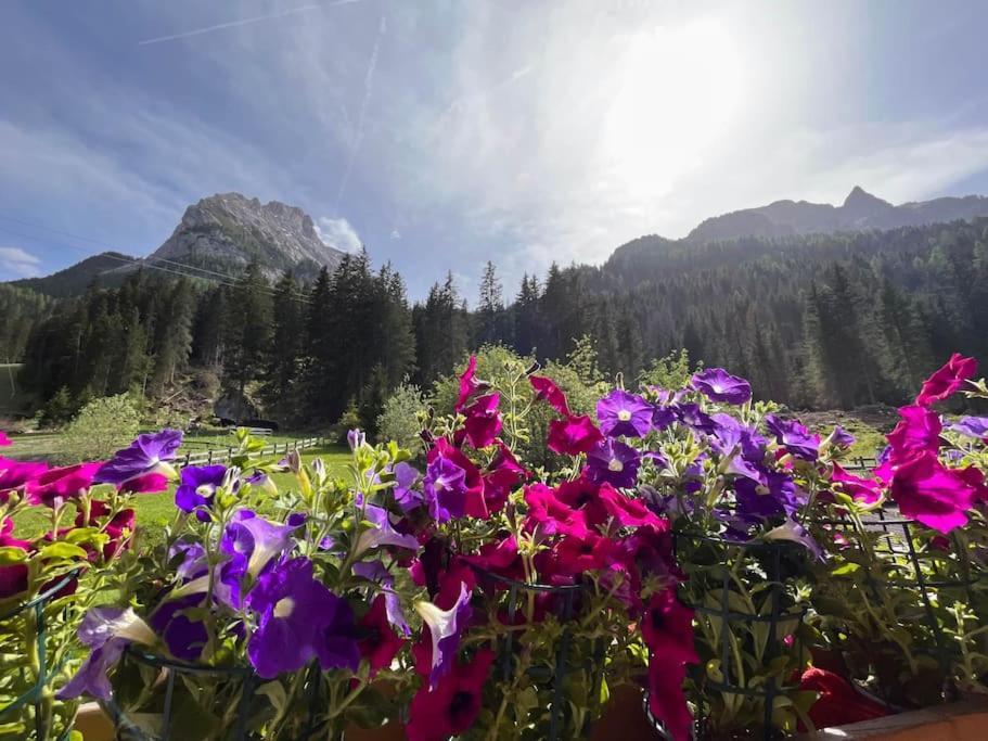 Sellaronda - Ciampac Experience